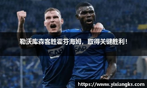勒沃库森客胜霍芬海姆，取得关键胜利！