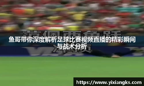 鱼哥带你深度解析足球比赛视频直播的精彩瞬间与战术分析